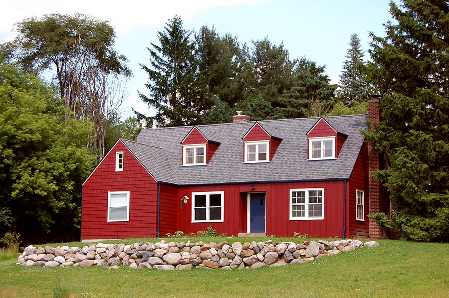 Keep Trees Trim To Prevent Roof Damage